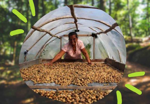 Red de mujeres yucatecas intercambiando saberes por el cuidado de la selva