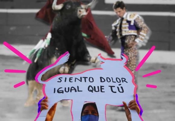 Tauromaquia puede volver a CDMX: defensa de animales también es feminismo