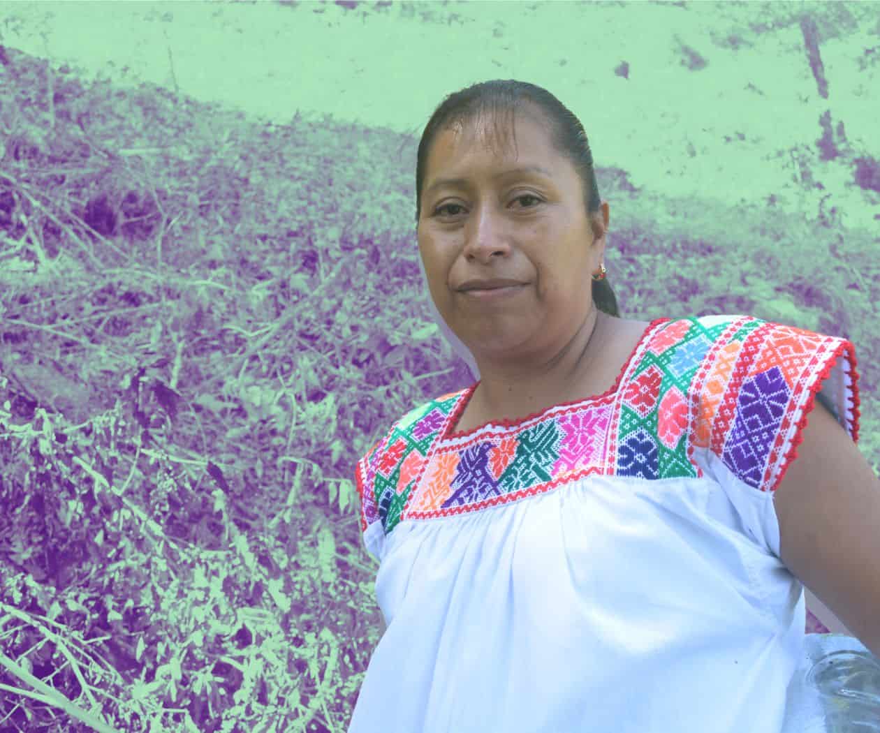“Mujeres Trabajando por Nuestra Tierra” impulsan reforestación en Puebla
