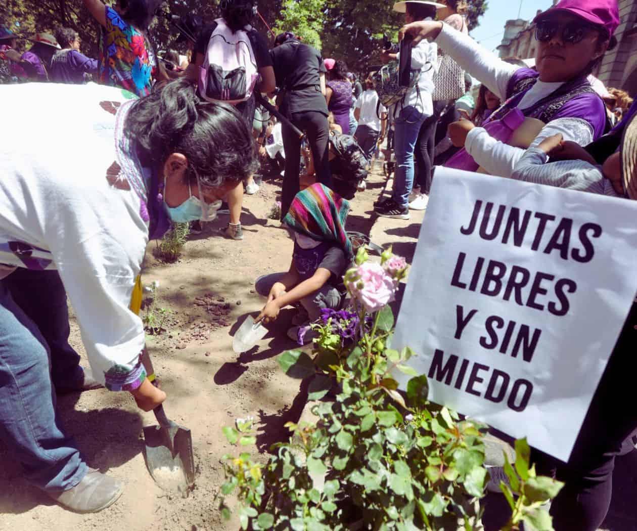 Foto: Cuartoscuro Foto: Cuartoscuro