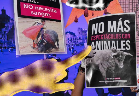 Congreso de CDMX aprueba "espectáculos taurinos" sin violencia 