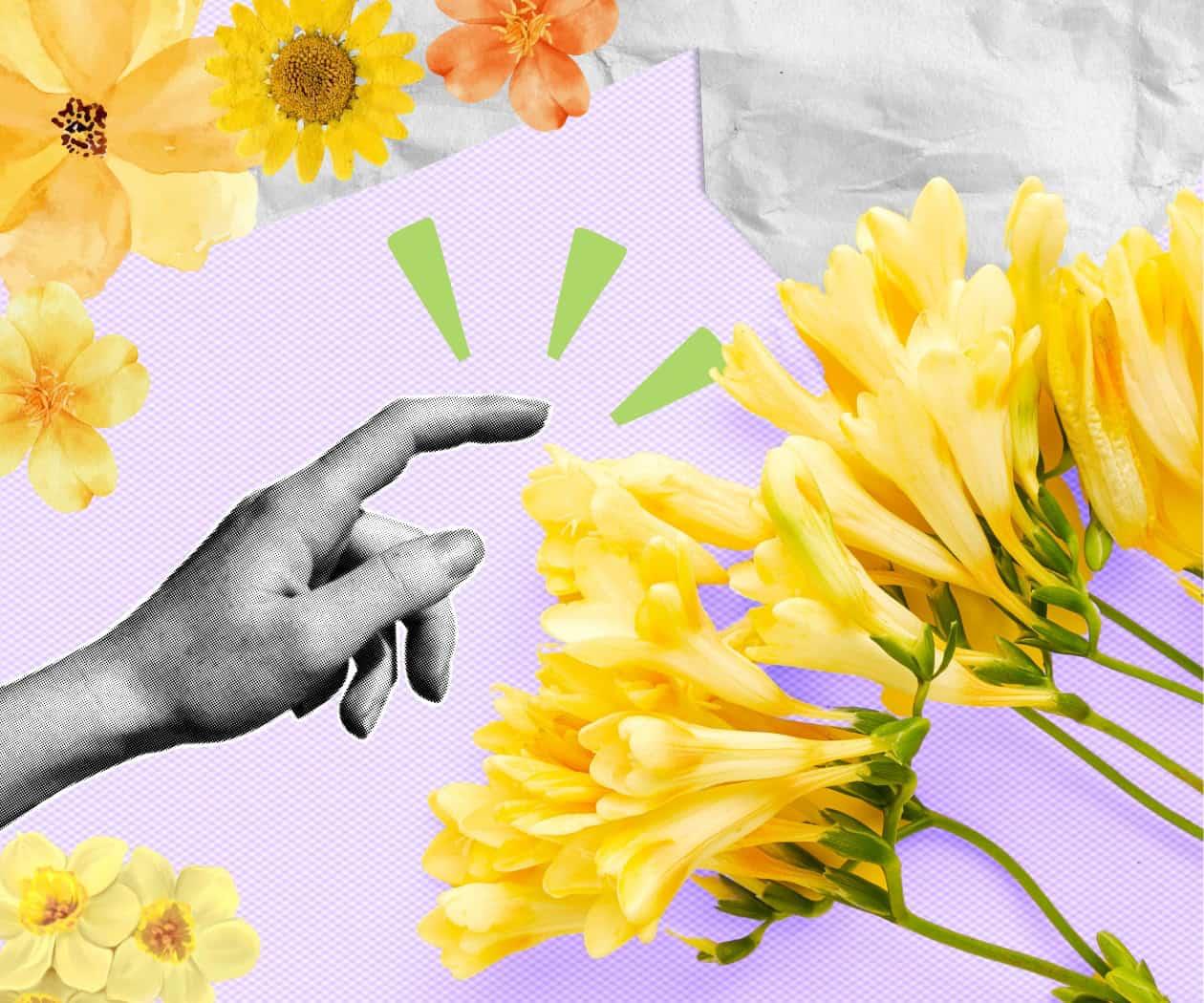 Ella sabía que él sabía que llega la temporada de las flores amarillas Ella sabía que él sabía que llega la temporada de las flores amarillas