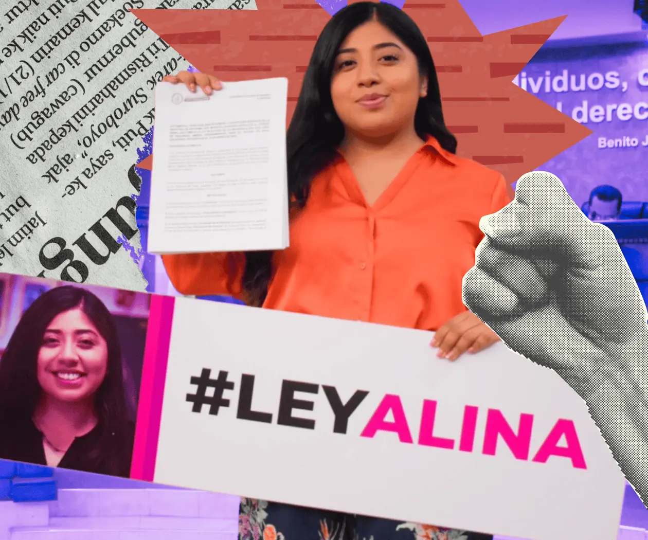 Ley Alina: justicia con perspectiva de género para mujeres que se defienden Ley Alina: justicia con perspectiva de género para mujeres que se defienden