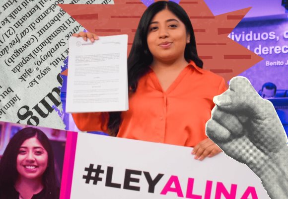 Ley Alina: justicia con perspectiva de género para mujeres que se defienden