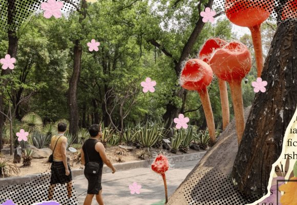 Picnic, conciertos y hongos gigantes: lánzate al SPORA Festival