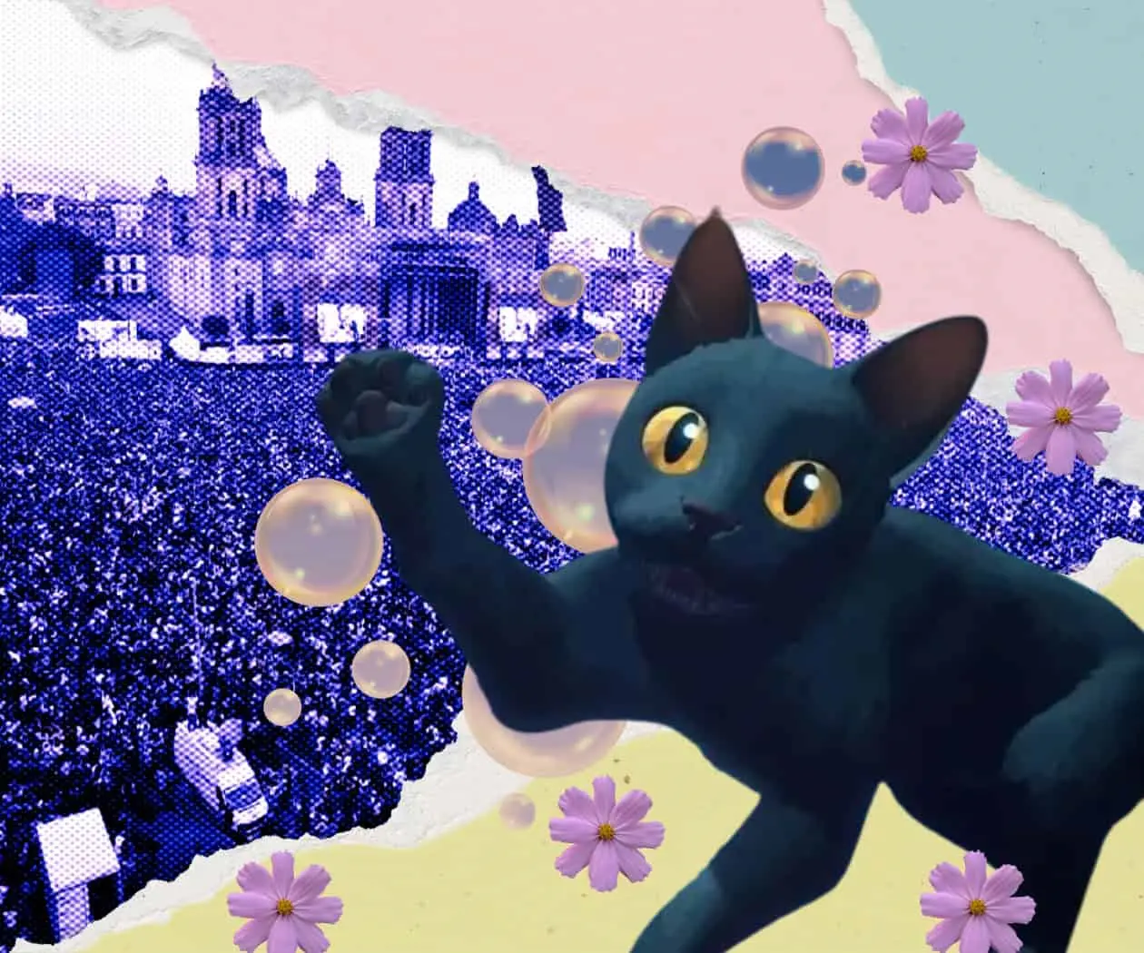 ¡Flow llega al Zócalo de la CDMX! ¡Flow llega al Zócalo de la CDMX!