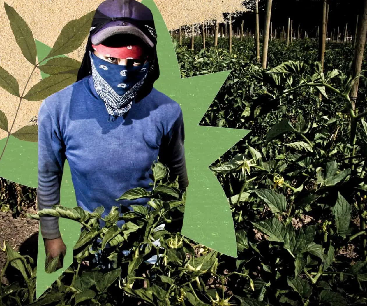 Día de la Tierra: datos que revelan la desigualdad ambiental en México Día de la Tierra: datos que revelan la desigualdad ambiental en México