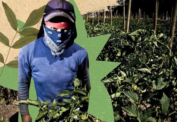 Día de la Tierra: datos que revelan la desigualdad ambiental en México