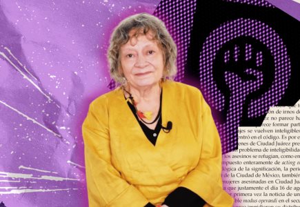 Rita Segato: un feminismo que busca poder es una equivocación