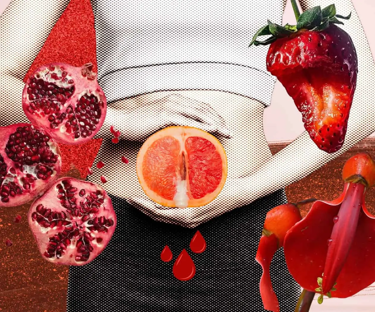 Glosario feminista para una menstruación digna, informada y sin tabúes Glosario feminista para una menstruación digna, informada y sin tabúes