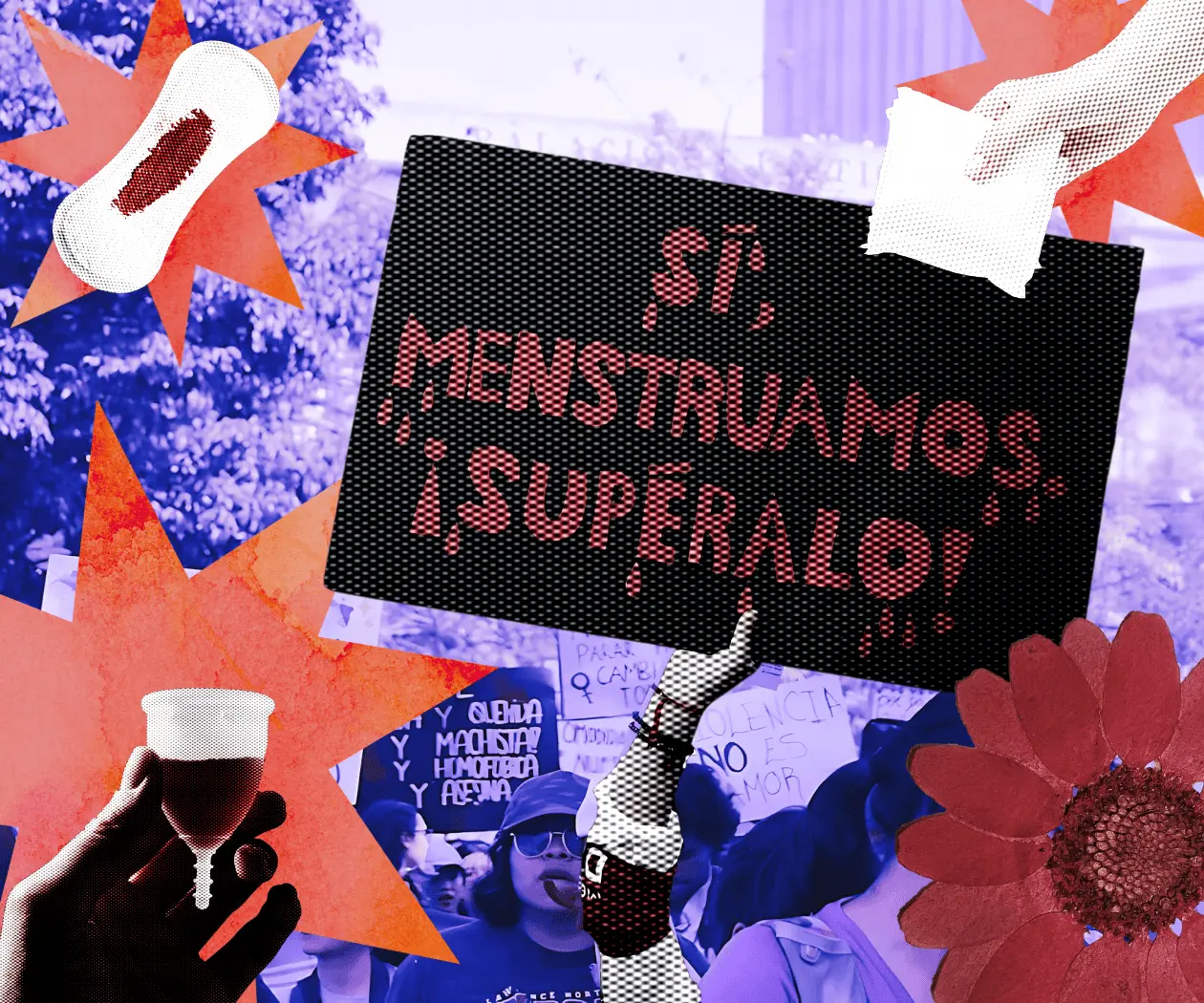 “La menstruación no es igual para todas”: voces de mujeres con discapacidad “La menstruación no es igual para todas”: voces de mujeres con discapacidad