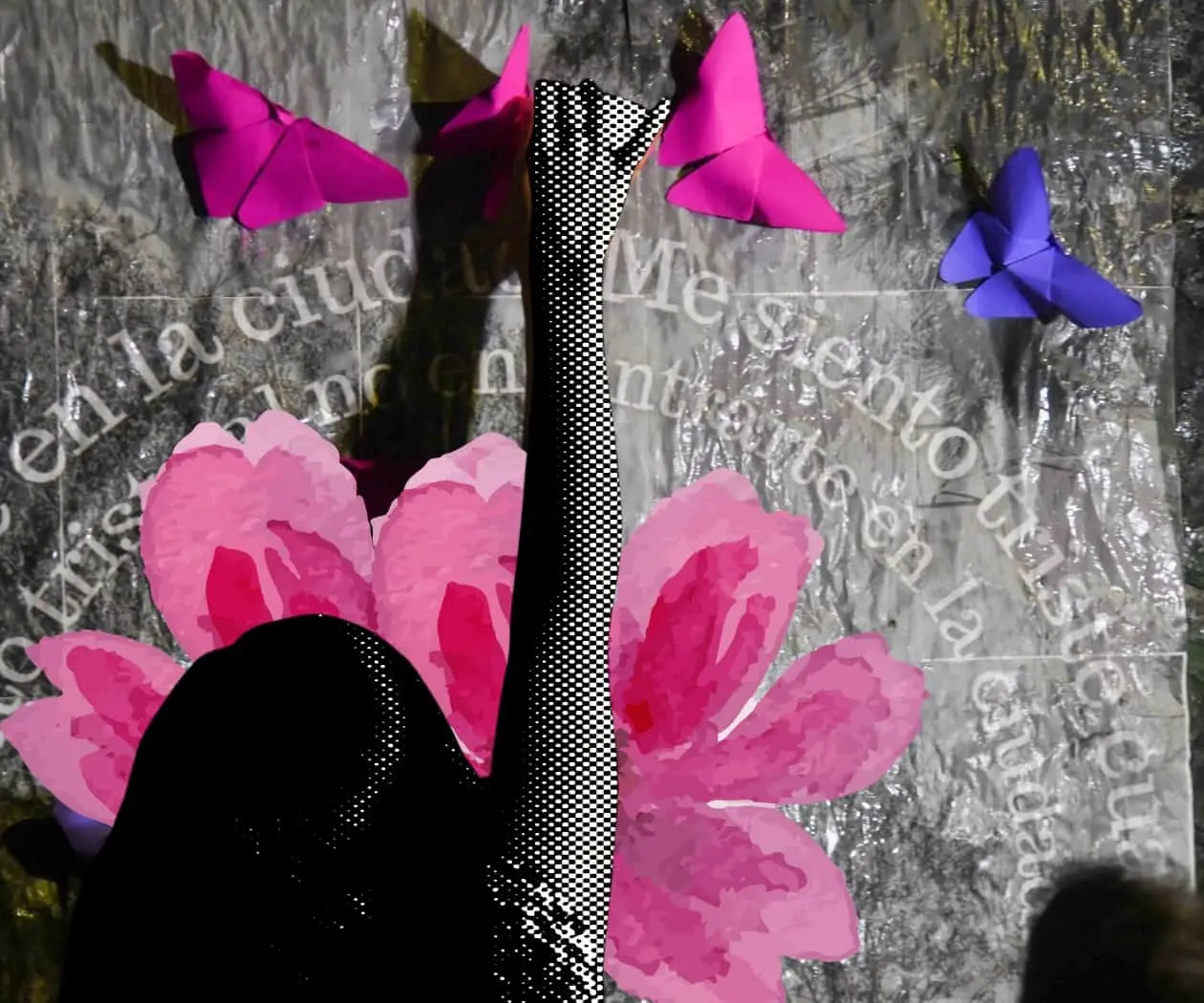 Refugios siguen sin fondos; Red Nacional exige entrega inmediata Refugios siguen sin fondos; Red Nacional exige entrega inmediata