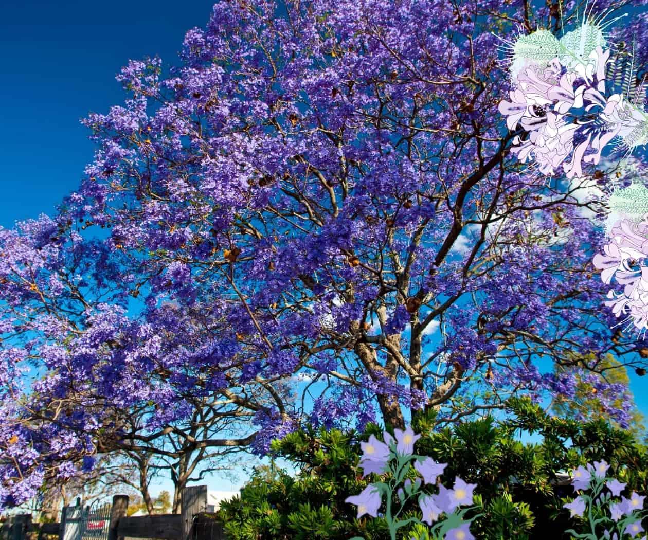 ¿Cómo sanar la masculinidad? A veces, trepando un árbol