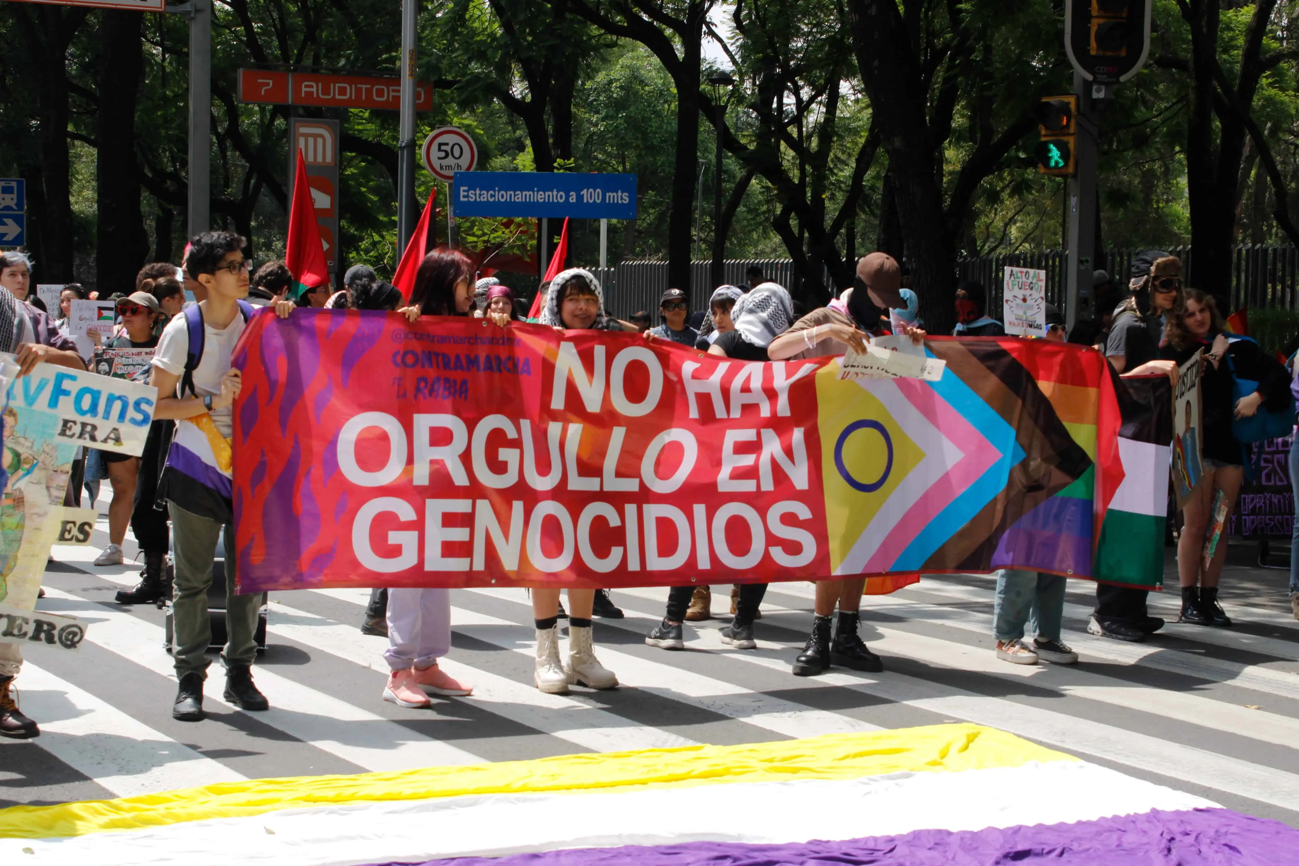 Foto: Wanda Pacheco Foto: Wanda Pacheco