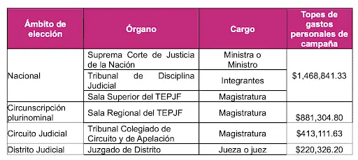 Fuente: Imagen de Central Electoral INE, 20 de marzo de 2025
Fuente: Imagen de Central Electoral INE, 20 de marzo de 2025