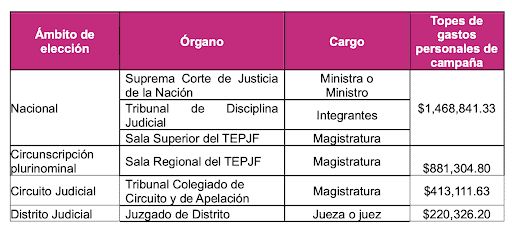 Fuente: Imagen de Central Electoral INE, 20 de marzo de 2025
Fuente: Imagen de Central Electoral INE, 20 de marzo de 2025
