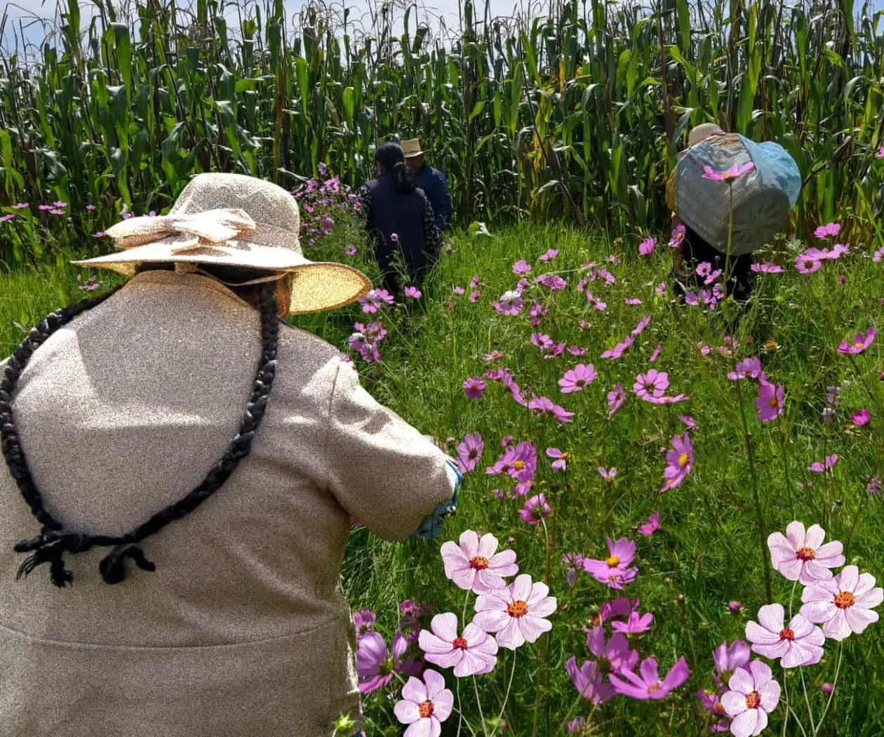 Voces y saberes comunitarios por la justicia climática
