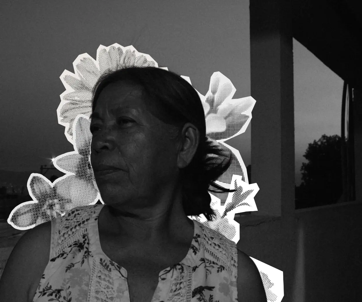 Los cuidados de mi abuela que forjaron mi identidad ayuuk Los cuidados de mi abuela que forjaron mi identidad ayuuk