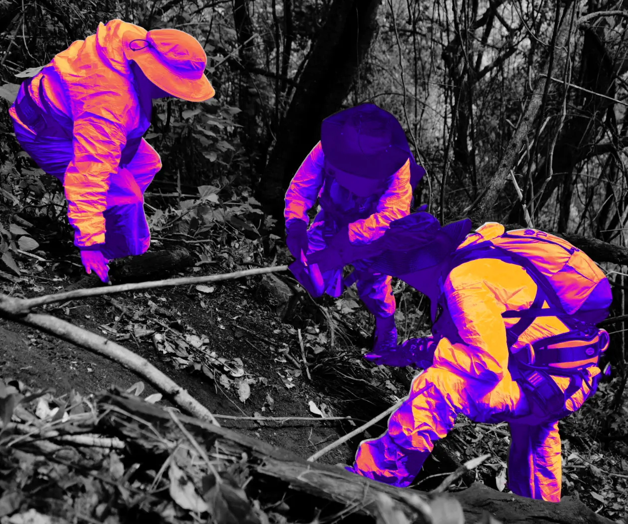 “El Estado no busca”: colectivos reclaman peritos independientes a la CNB