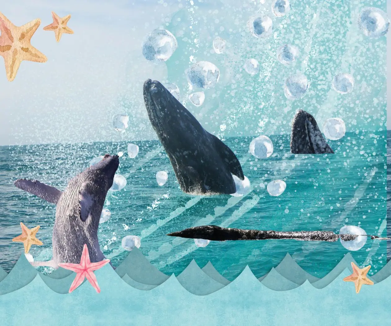 ¿Y si las ballenas fueran sujetas de derecho? Un amparo histórico en México