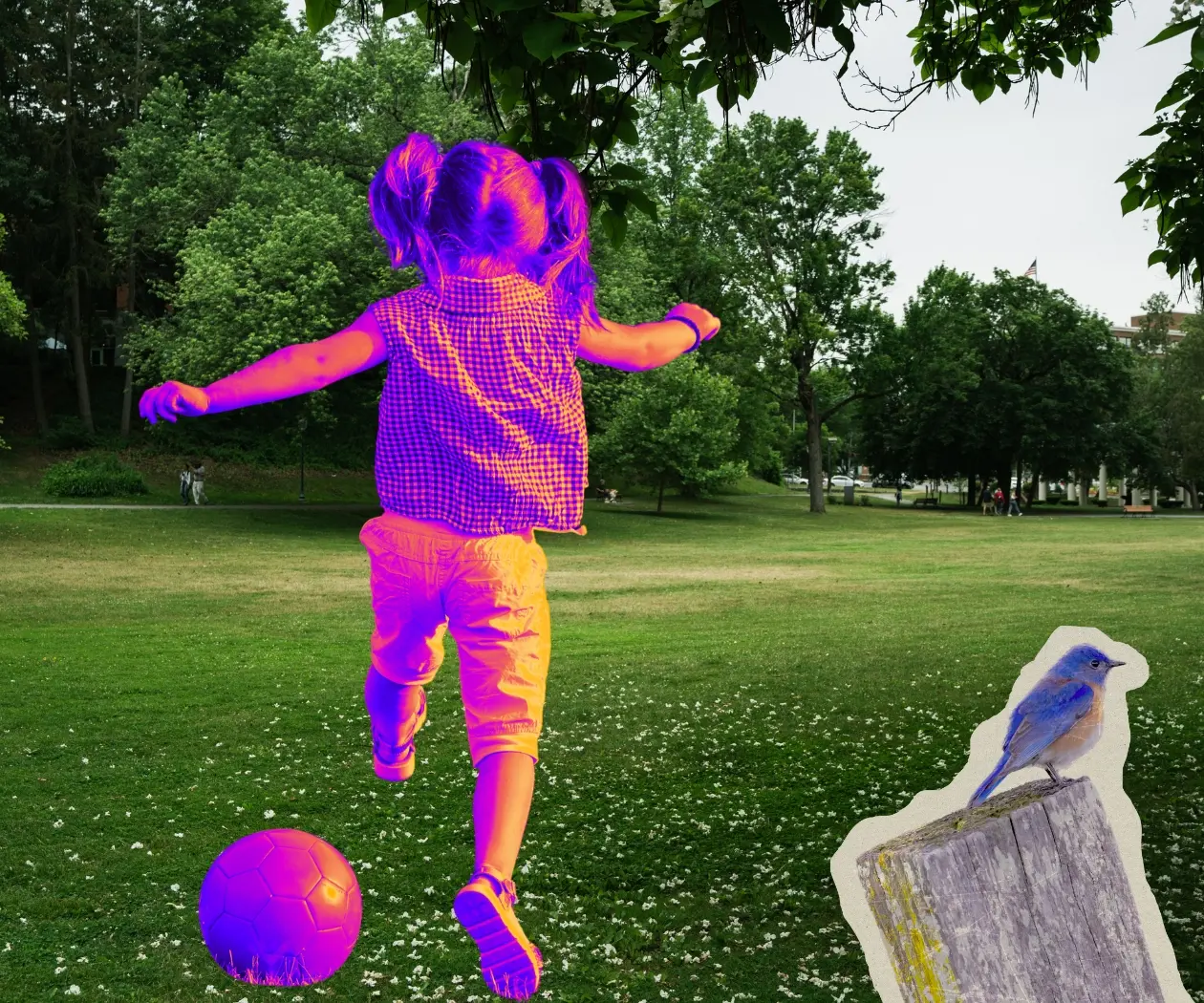 Invertir en las niñas es apostar por un futuro igualitario