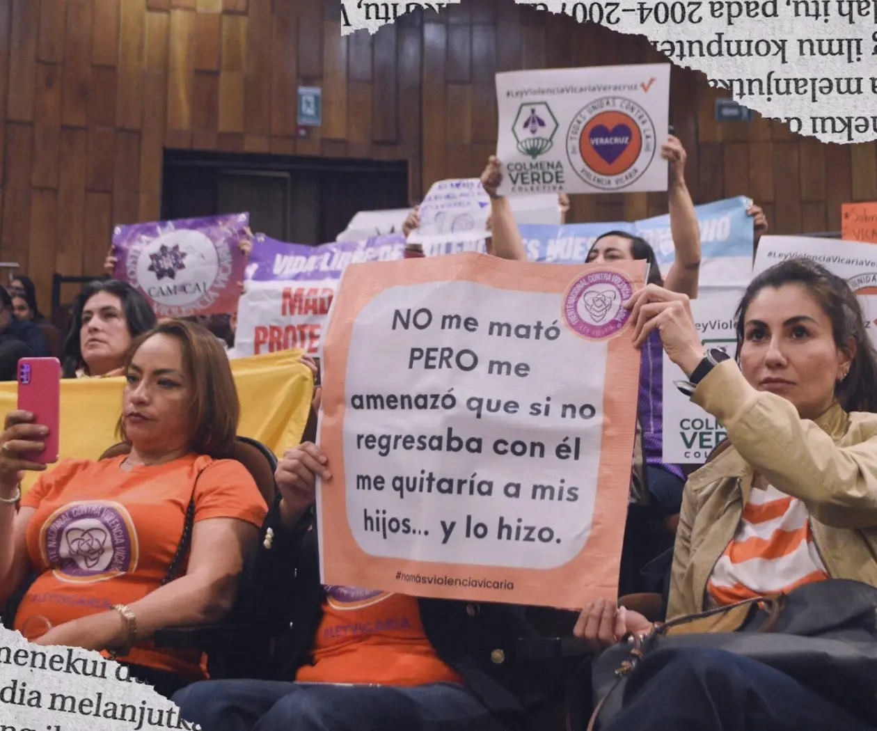 SCJN valida la ley vicaria: un paso clave que deja vacíos legales SCJN valida la ley vicaria: un paso clave que deja vacíos legales