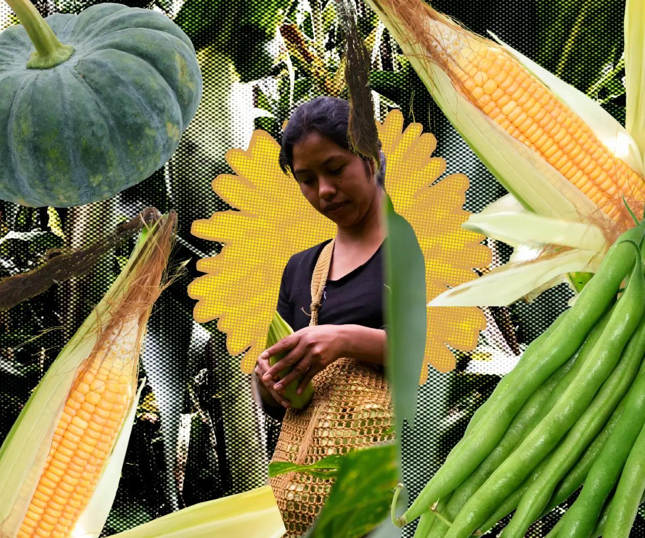 La milpa: el acto de resistencia que sembraron los pueblos originarios La milpa: el acto de resistencia que sembraron los pueblos originarios