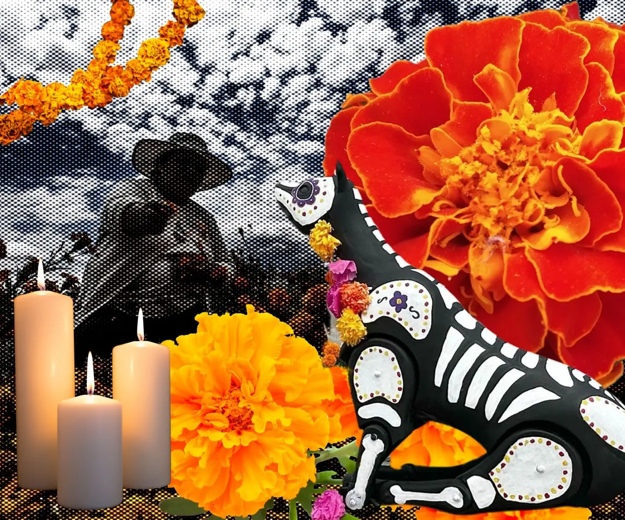 Los animales también regresan: el vínculo que el Día de Muertos honra Los animales también regresan: el vínculo que el Día de Muertos honra