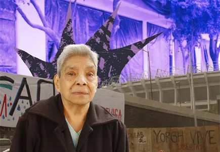 Mujeres de Santa Úrsula se organizan ante el avance inmobiliario irregular Mujeres de Santa Úrsula se organizan ante el avance inmobiliario irregular