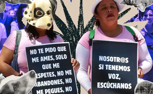 Zoocidio: la violencia estructural que el patriarcado sigue normalizando Zoocidio: la violencia estructural que el patriarcado sigue normalizando