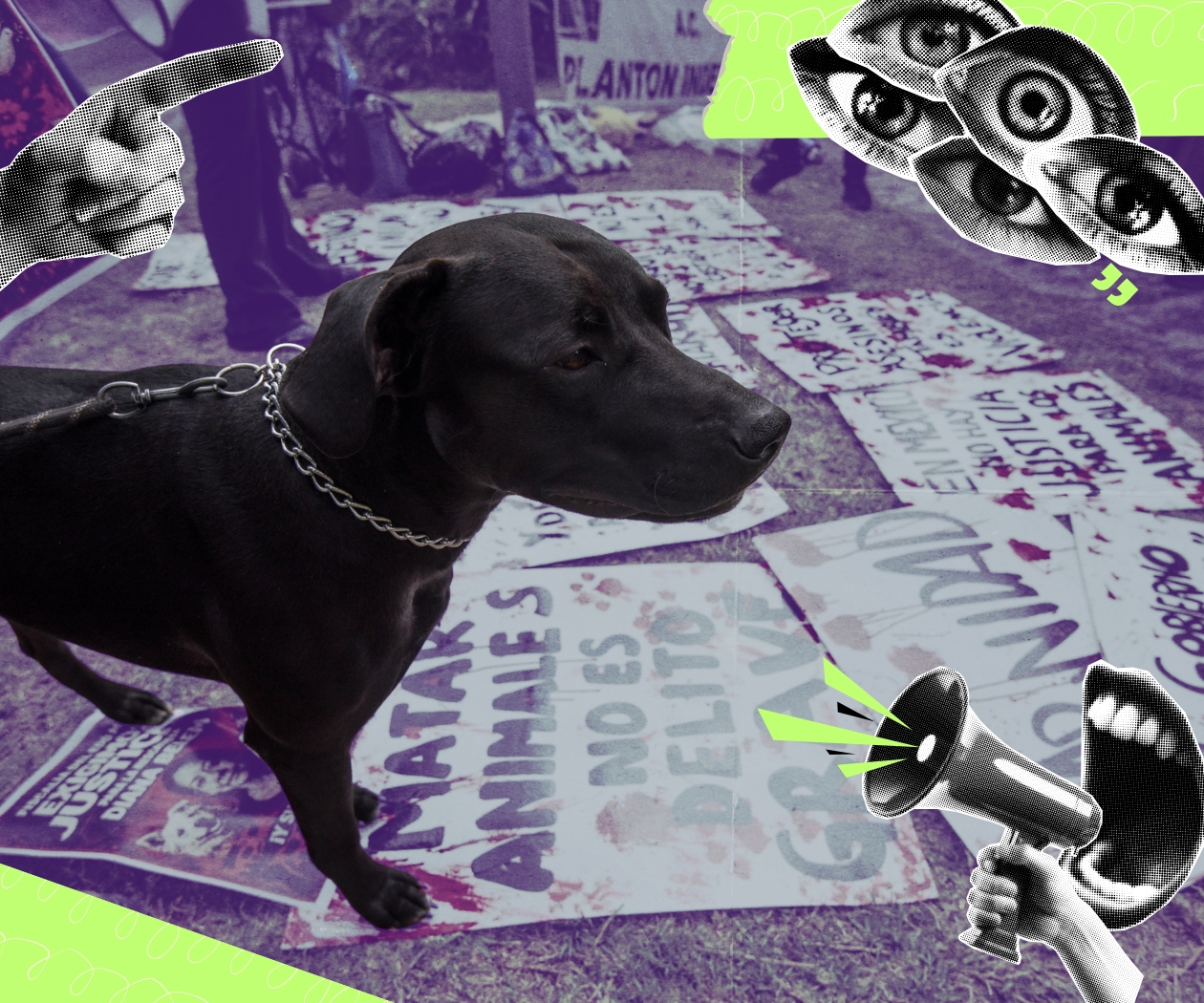 “No rechazamos la ley, rechazamos que proteja menos”: marchan por animales